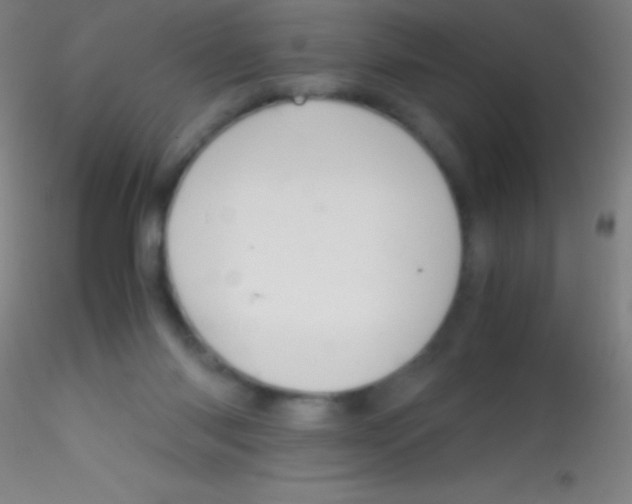 X0000115180118200911251406