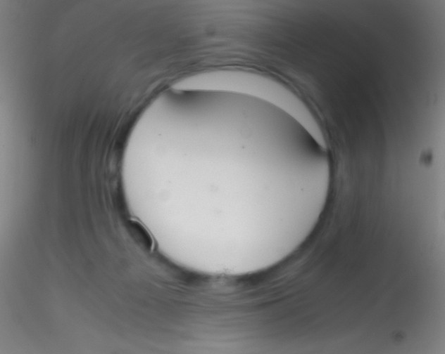 X0000115180121200911251406