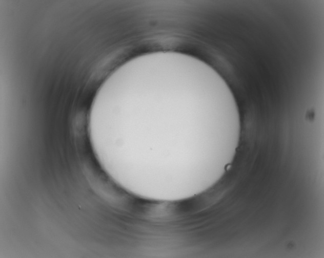 X0000115180122200911251406
