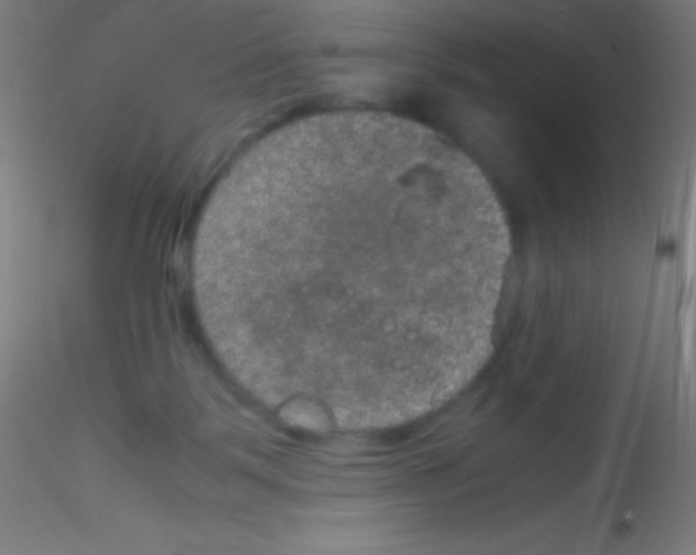 X0000115180123200911251406
