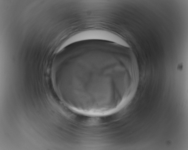 X0000115180124200911251406