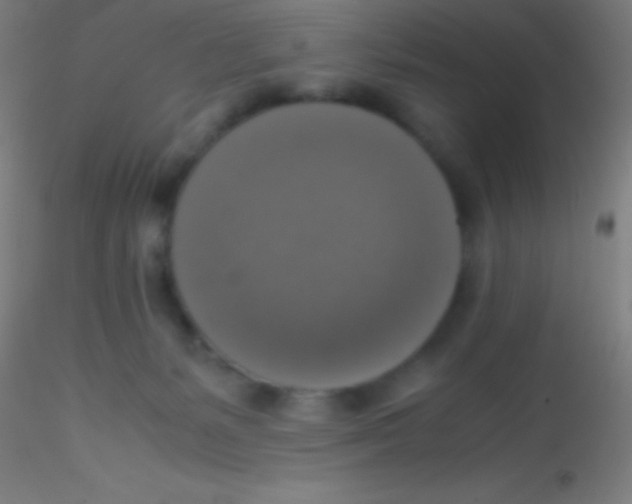 X0000115180127200911251405