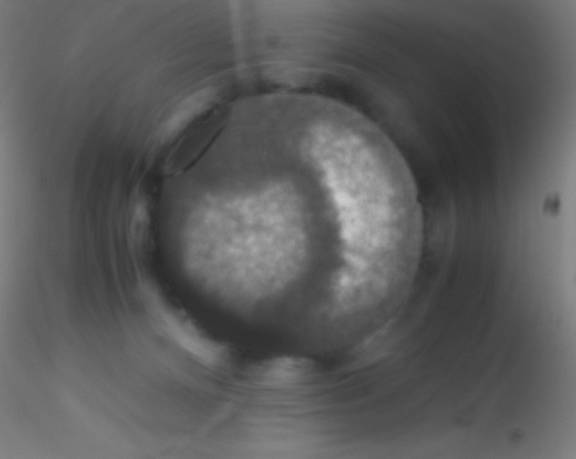 X0000115180128200911251405