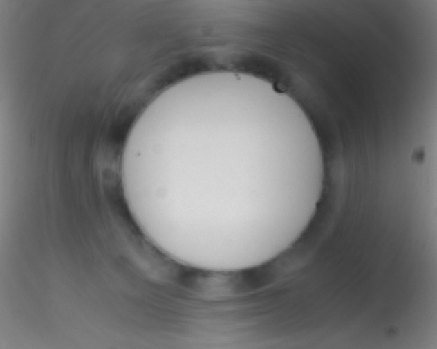 X0000115180129200911251405