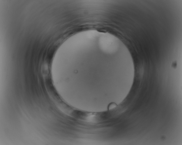 X0000115180130200911251405