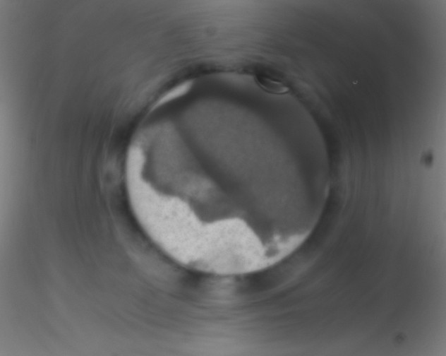 X0000115180131200911251405