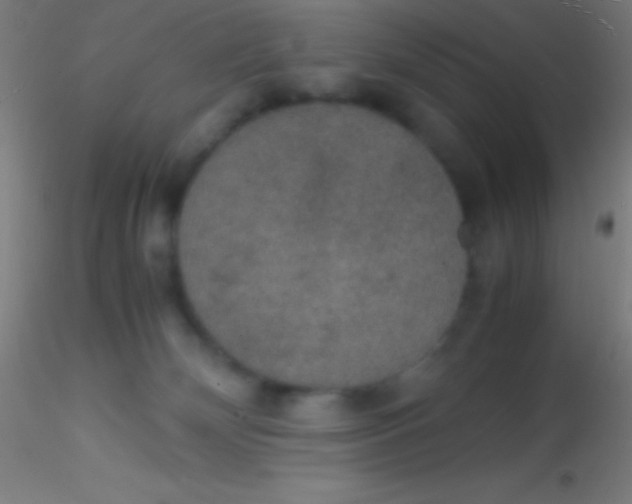 X0000115180132200911251405