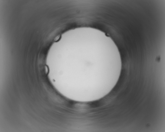 X0000115180133200911251405