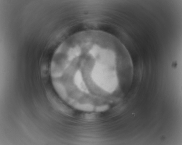 X0000115180134200911251405