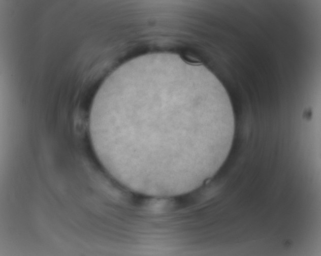 X0000115180135200911251405