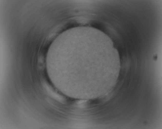 X0000115180136200911251405