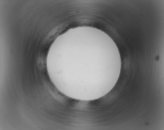 X0000115180138200911251405
