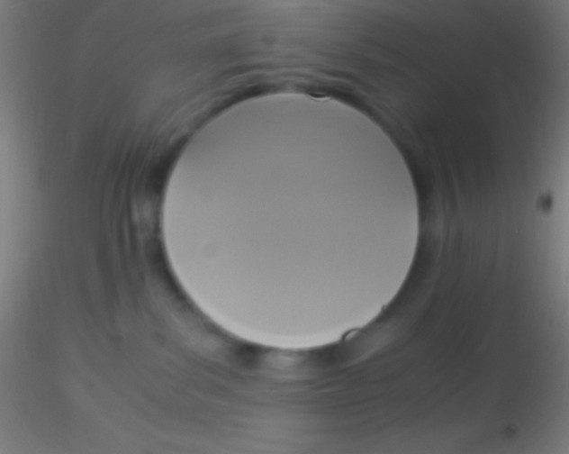 X0000115180139200911251405
