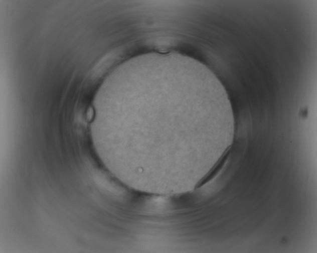 X0000115180140200911251405