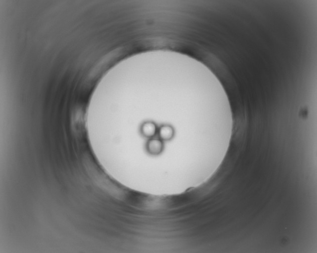 X0000115180142200911251405