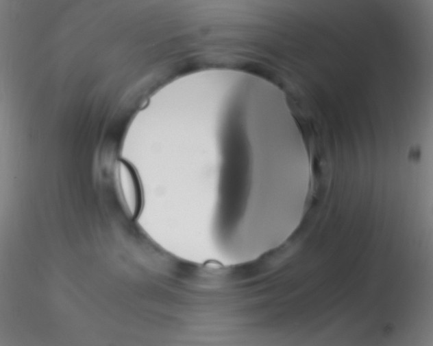 X0000115180143200911251405