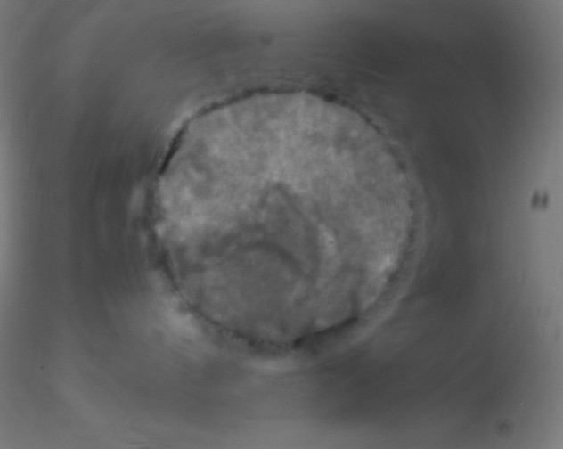 X0000115180144200911251405