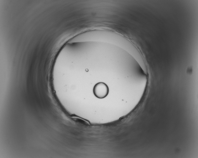 X0000115180145200911251404