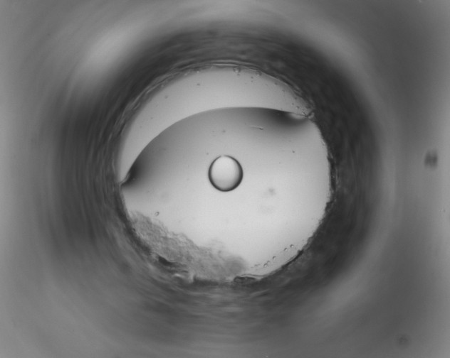 X0000115180146200911251405