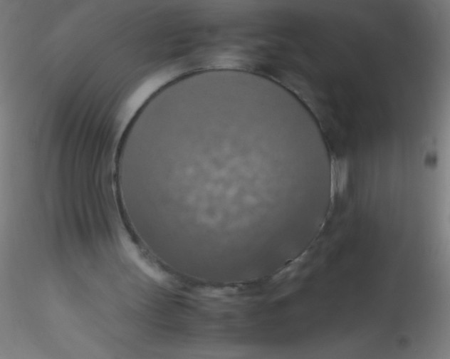 X0000115180147200911251405