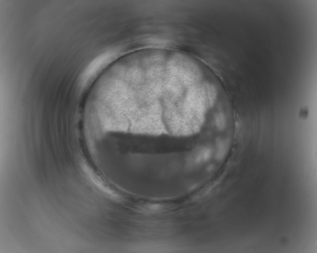 X0000115180149200911251405