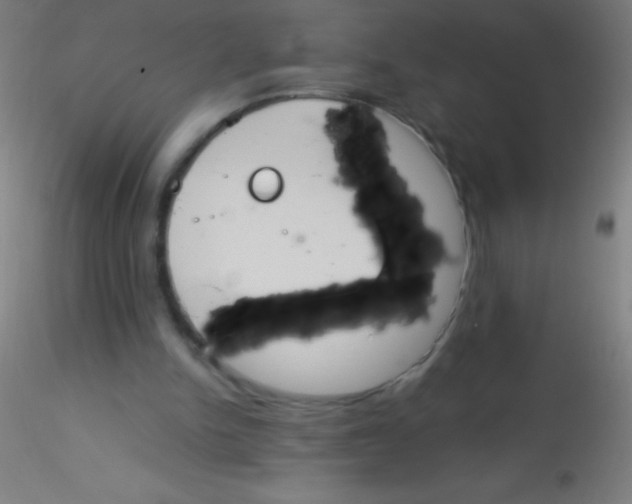 X0000115180150200911251405