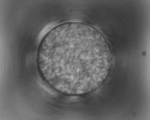 X0000115180151200911251405