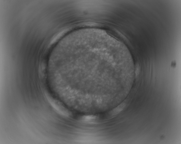 X0000115180158200911251405