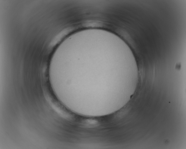 X0000115180159200911251405