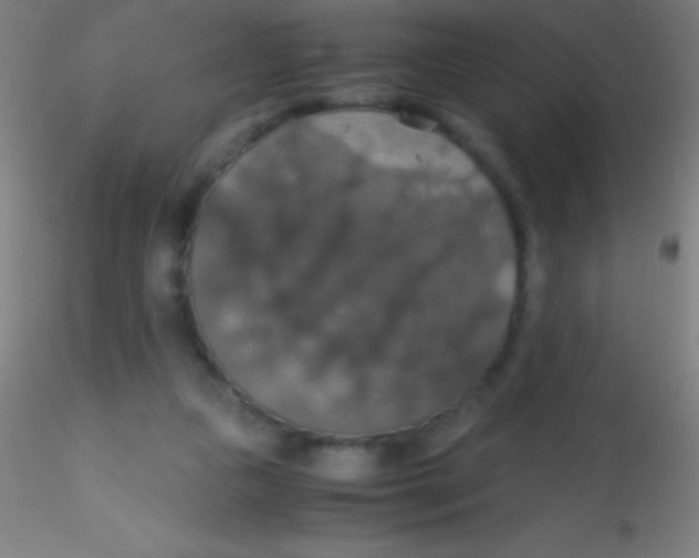 X0000115180161200911251405