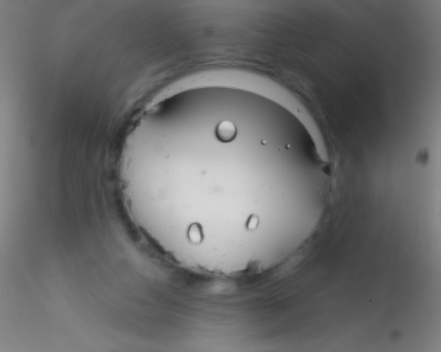 X0000115180162200911251405