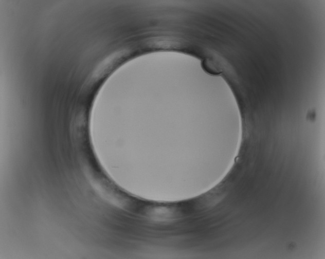 X0000115180163200911251405