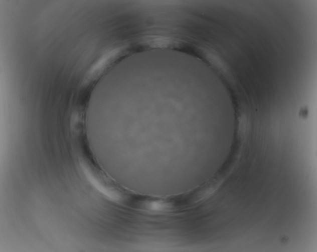 X0000115180165200911251405