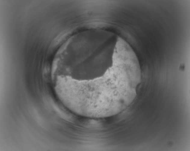 X0000115180166200911251405