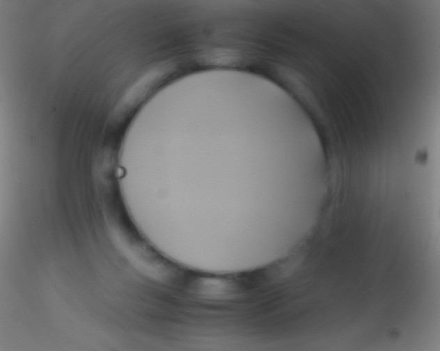 X0000115180167200911251405