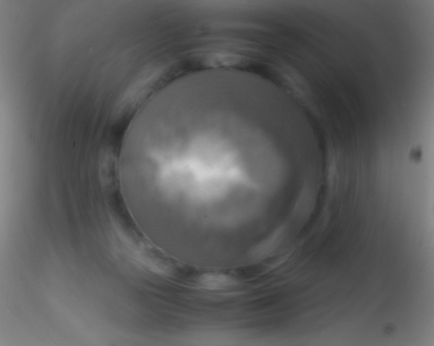 X0000115180169200911251405