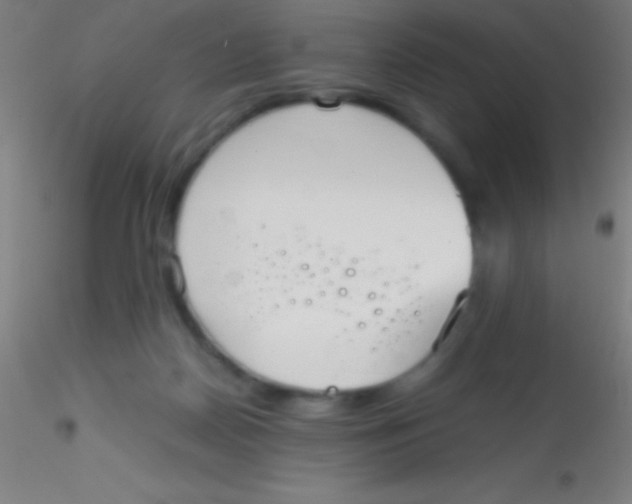 X0000115180170200911251405