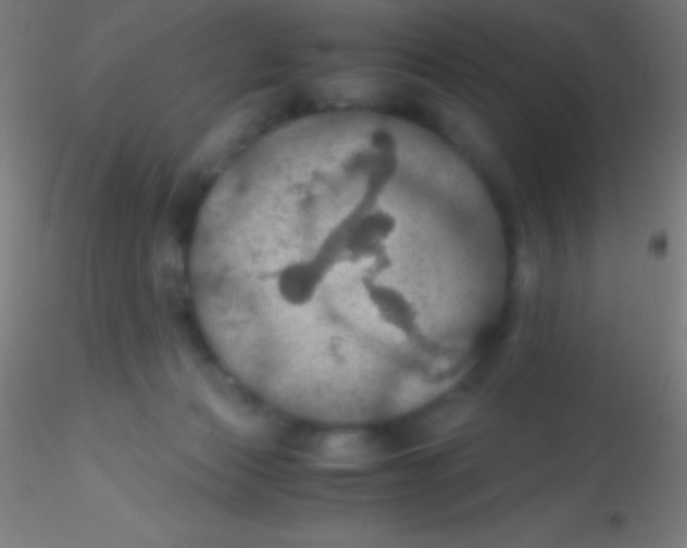 X0000115180173200911251405