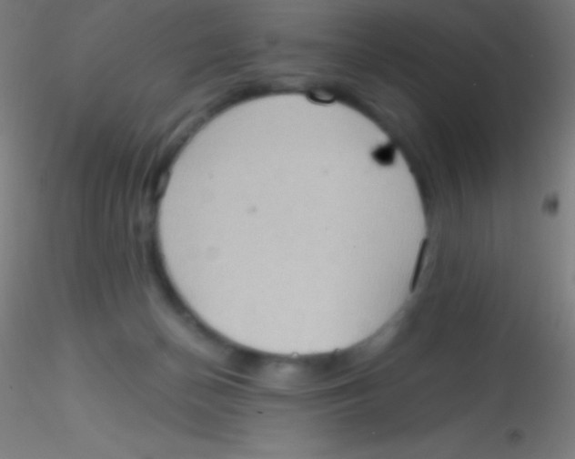 X0000115180174200911251405