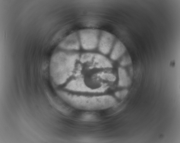X0000115180175200911251405