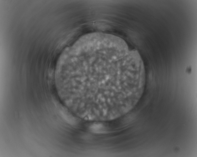 X0000115180177200911251405