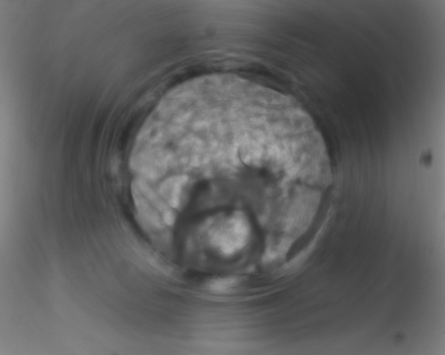 X0000115180178200911251405