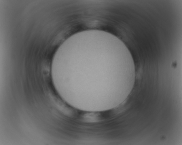 X0000115180179200911251405