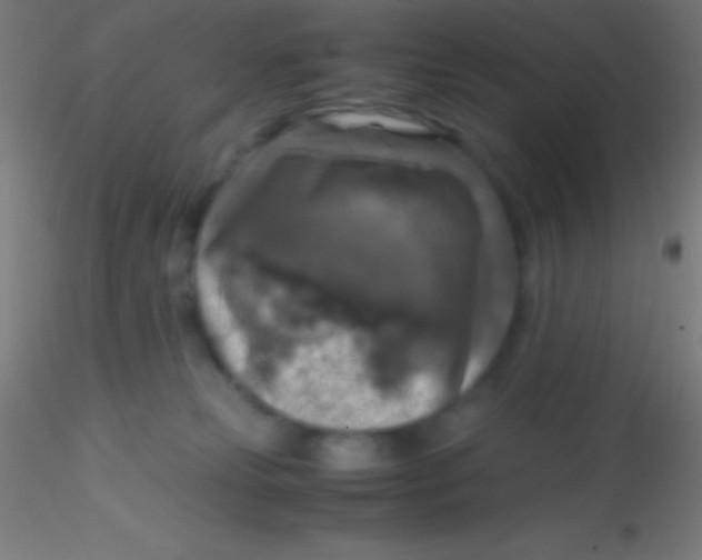 X0000115180181200911251405