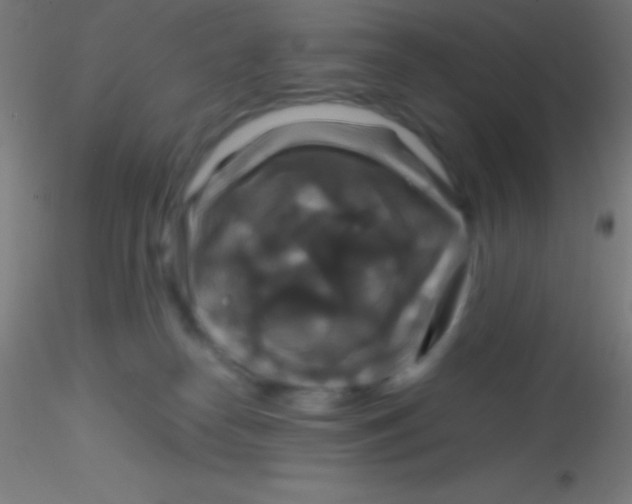 X0000115180182200911251405