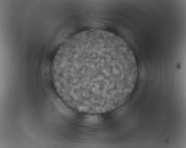 X0000115180185200911251405