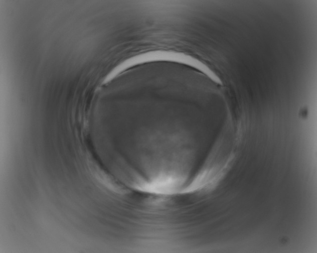 X0000115180186200911251405
