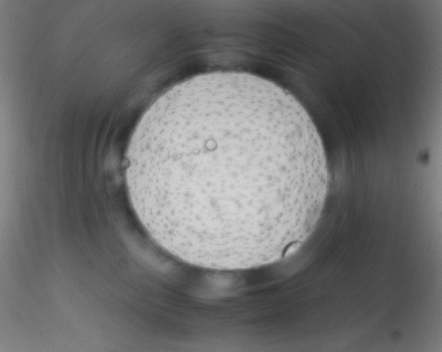 X0000115180187200911251405
