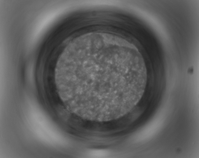 X0000115180189200911251405