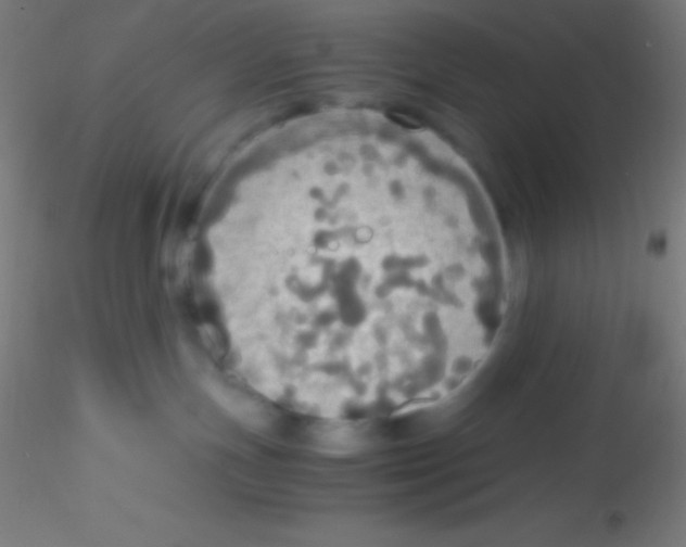 X0000115180191200911251405